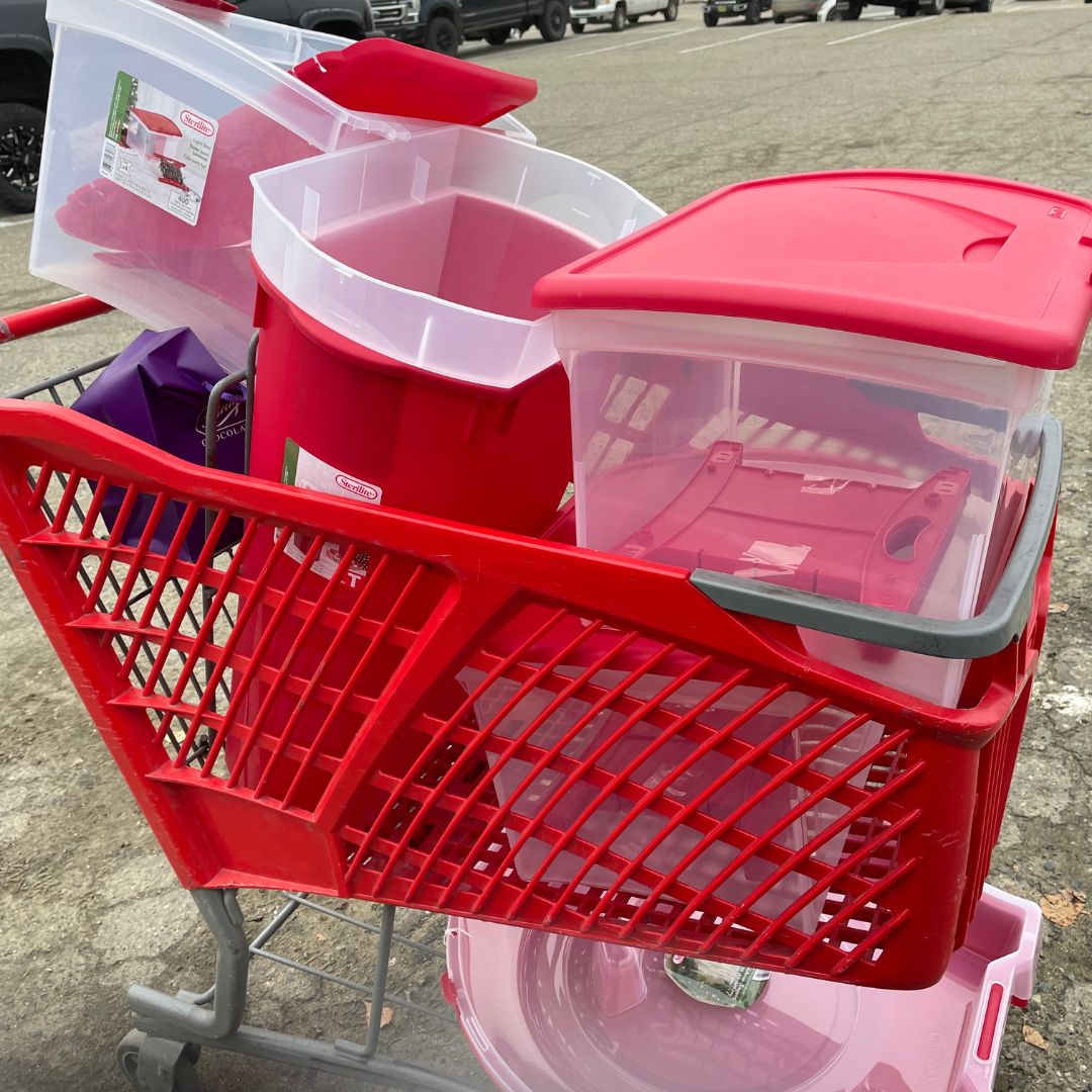 De-Clutter/Organization Service Afternoon 1:30 PM -4:30 PM
